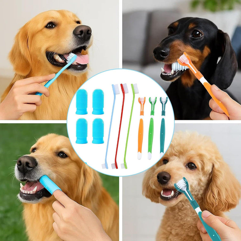 Complete Dog Toothbrush Kit — 10-Piece Dental Care Set