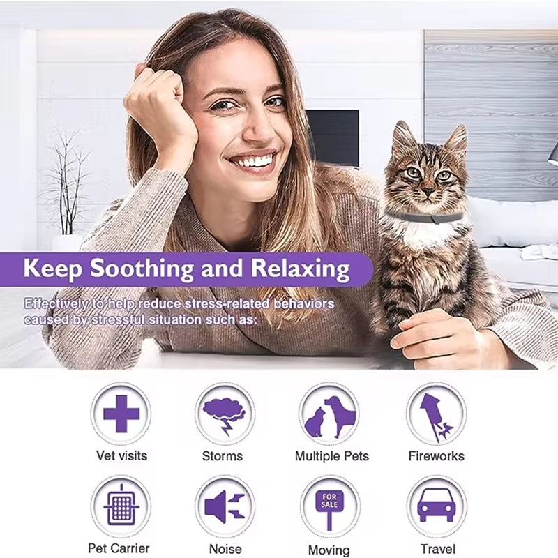 Calming Pheromone Collar for Dogs & Cats — Anxiety Relief