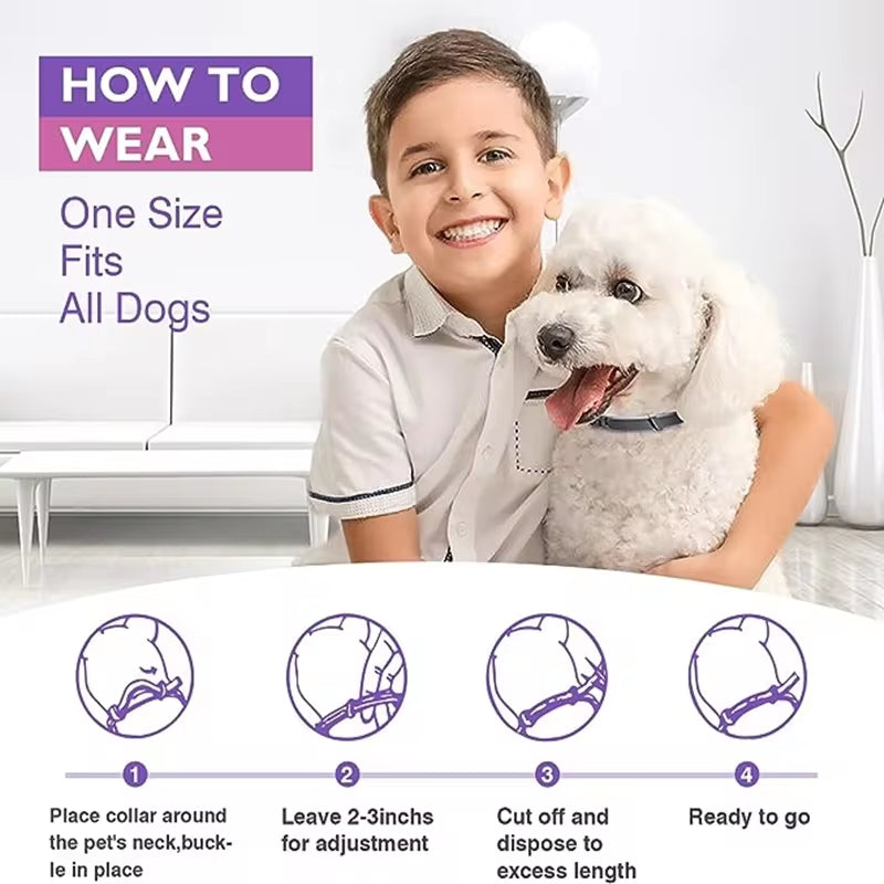 Calming Pheromone Collar for Dogs & Cats — Anxiety Relief