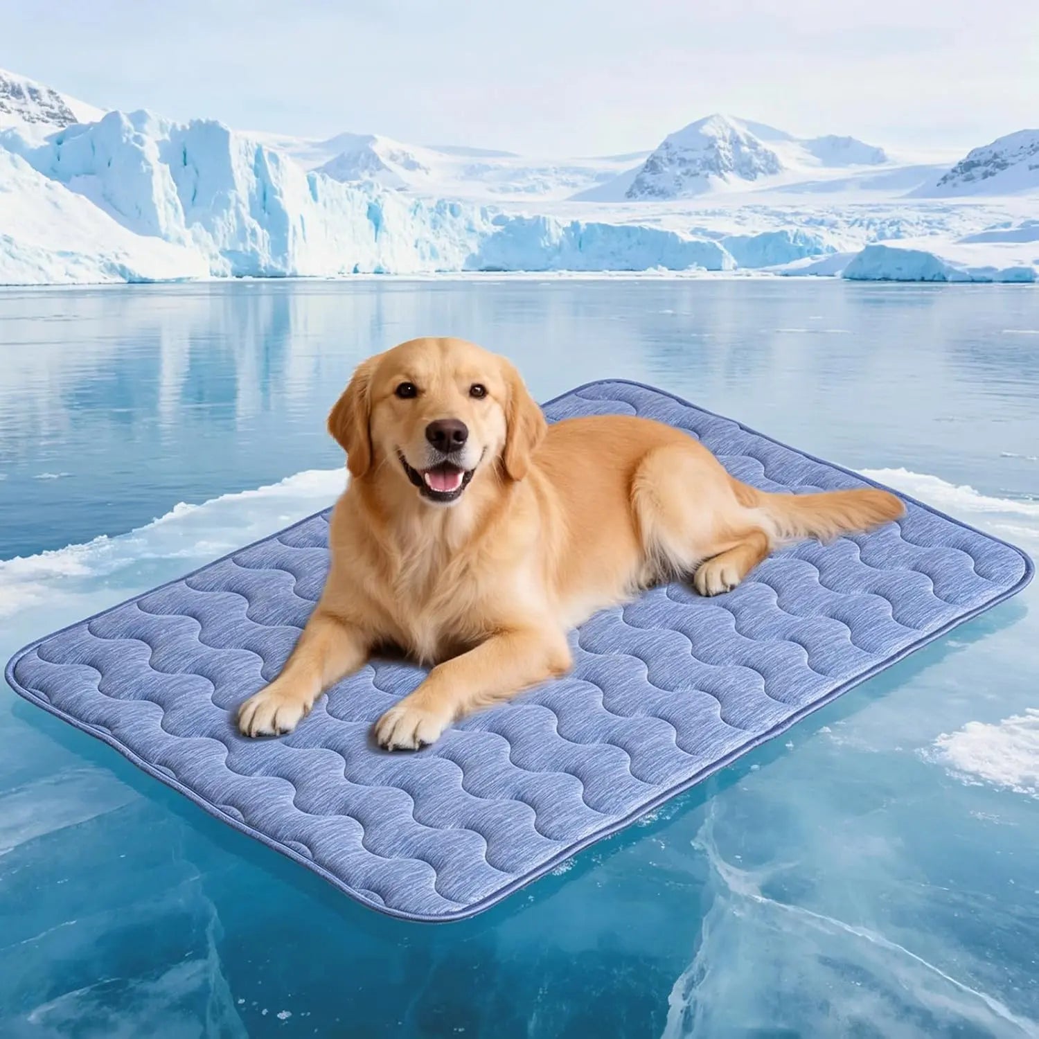 Arc-Chill Cooling Mat for Large Dogs