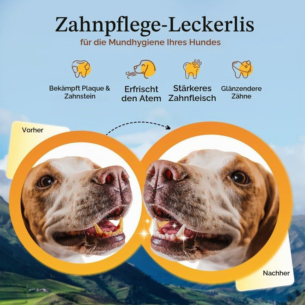 Dogsee Himalayan Yak Cheese Dental Chews — Natural Teeth Cleaning