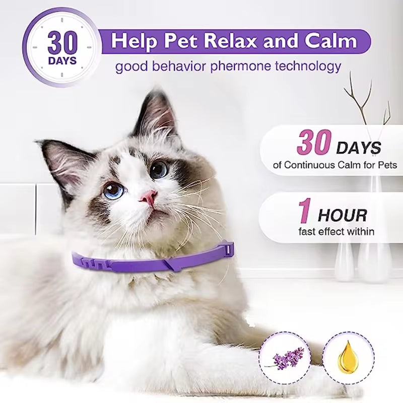 Calming Pheromone Collar for Dogs & Cats — Anxiety Relief