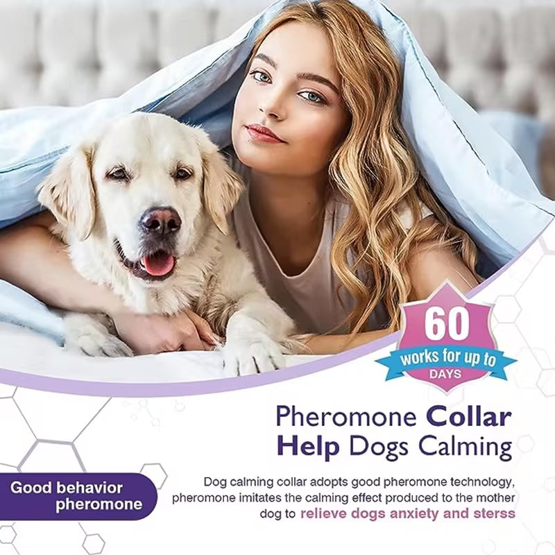 Calming Pheromone Collar for Dogs & Cats — Anxiety Relief