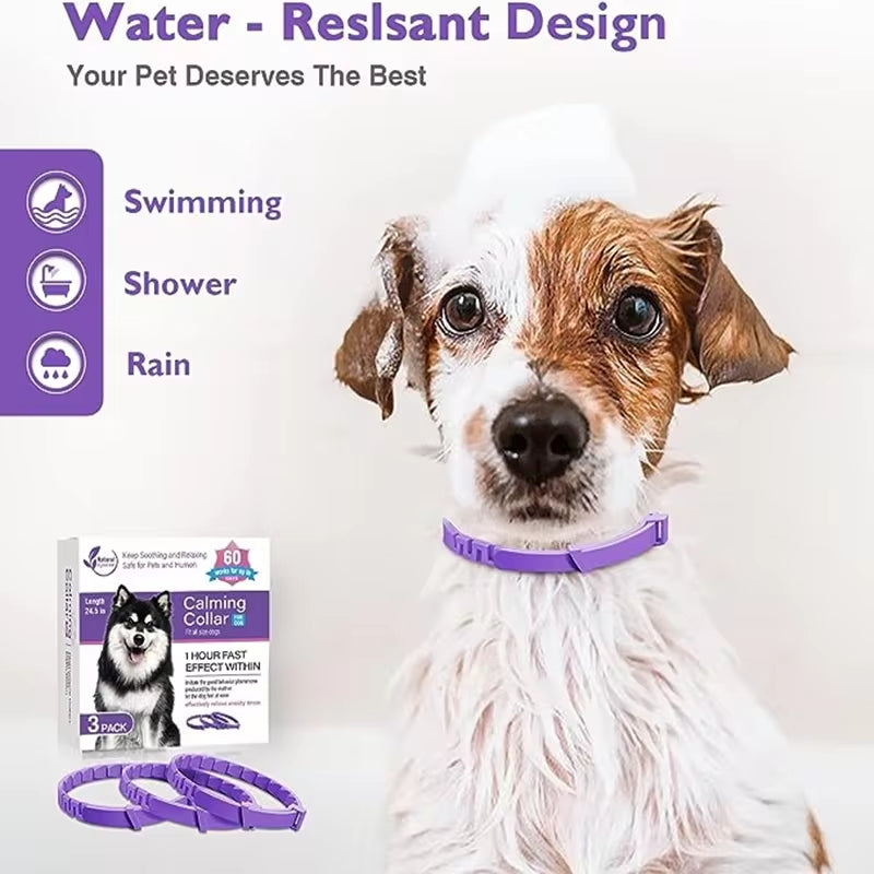 Calming Pheromone Collar for Dogs & Cats — Anxiety Relief