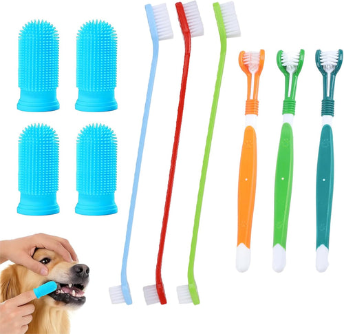 Complete Dog Toothbrush Kit — 10-Piece Dental Care Set